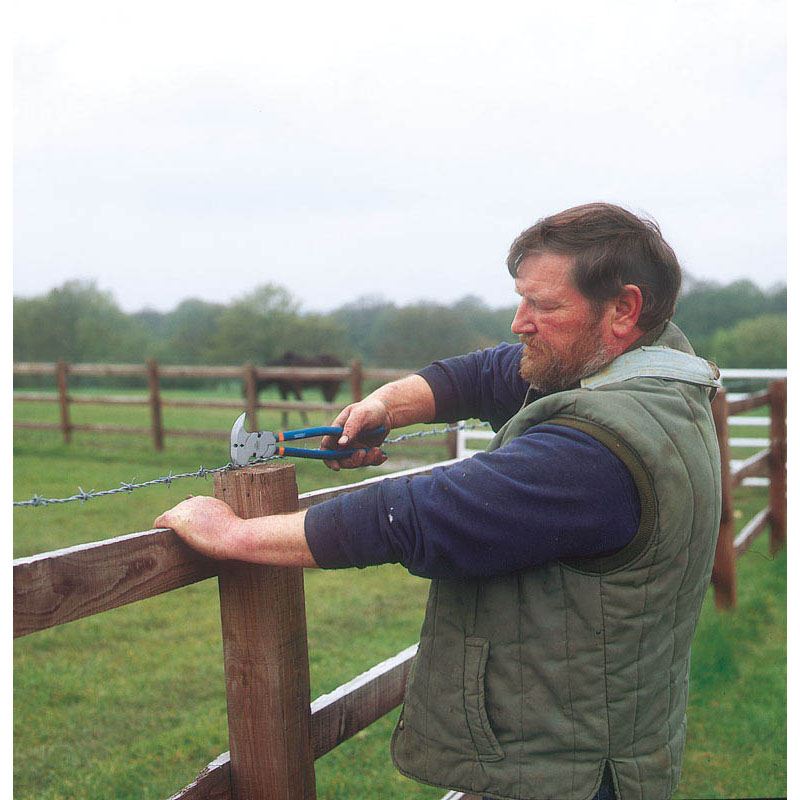 Fencing Man