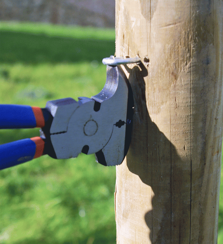 Staple Puller